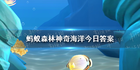 以下哪种螃蟹俗称“捣米蟹”神奇海洋1月19日答案